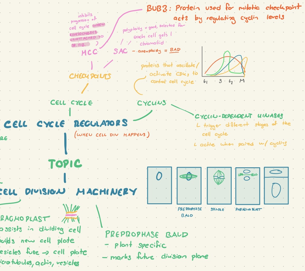 cell biology notes