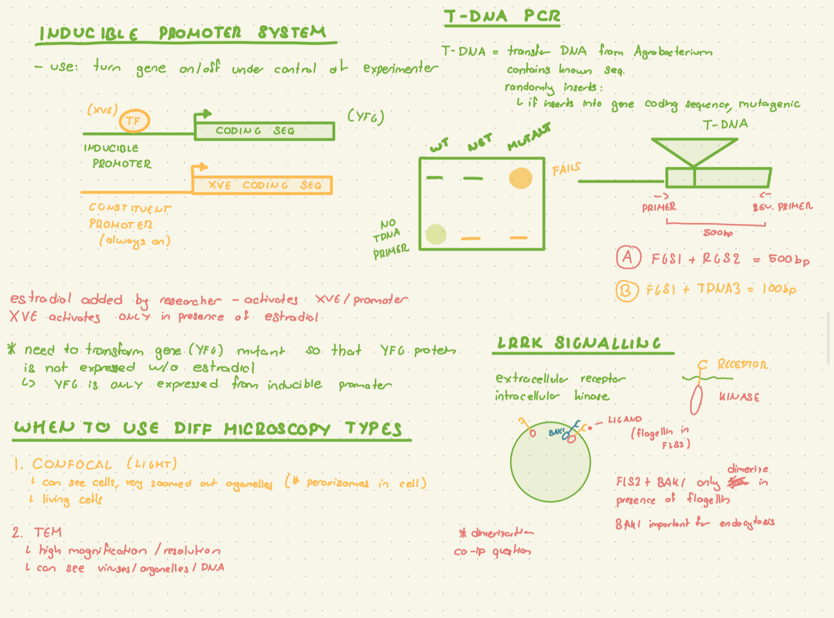 cell biology notes 2